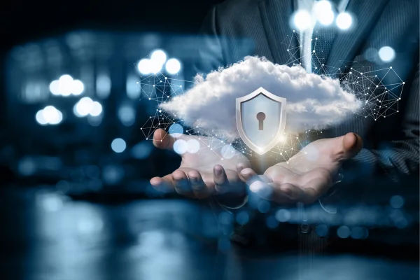 How DPO as a Service Works